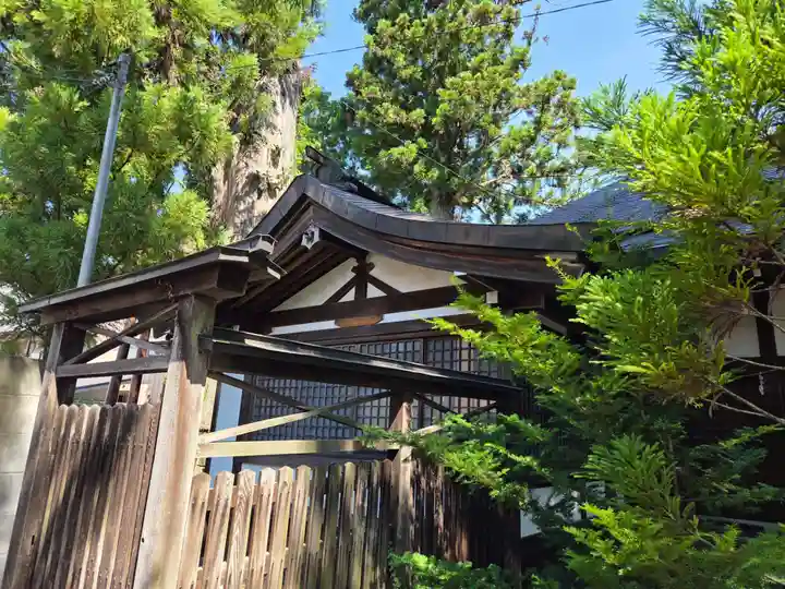 一本杉白山神社(岐阜県)