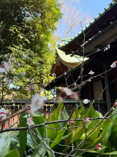 赤坂氷川神社(東京都)