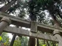 大宮温泉神社の鳥居