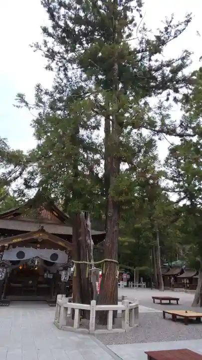 建部大社の自然