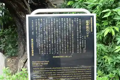 延命院(東京都)