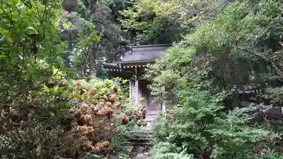 中尊寺金色堂(岩手県)