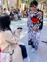 ひな人形を眺めながらお茶を楽しむ。