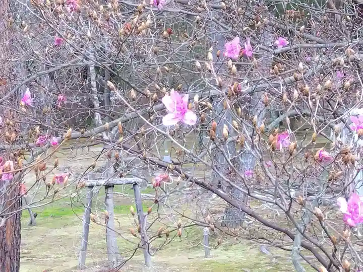 仁和寺(京都府)