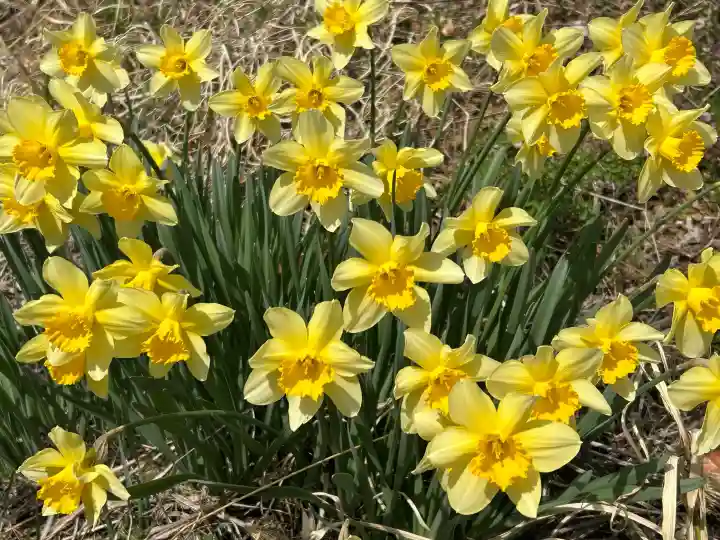 国宝 大法寺の{uncategorized: "未分類", other: "その他", undefined: "問題あり", building: "その他建物", grave: "お墓", sacred_gate: "鳥居", guardian: "狛犬", statue: "像", buddha: "仏像", history: "歴史", nature: "自然", garden: "庭園", animal: "動物", pagoda: "塔", temizu: "手水舎", mountain_gate: "山門・神門", sanctuary: "本殿・本堂", subordinate: "末社・摂社", art: "芸術", scenery: "景色", jizo: "地蔵", ema: "絵馬", goshuin: "御朱印", omikuji: "おみくじ", items: "授与品その他", amulet: "お守り", goshuincho: "御朱印帳", eats: "食事", festival: "お祭り", votive_dance: "神楽", shichigosan: "七五三参", wedding: "結婚式", experience: "体験その他", initially: "初詣", around: "周辺", anti_infection: "感染症対策"}