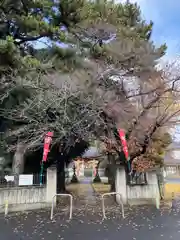 五社稲荷神社(埼玉県)