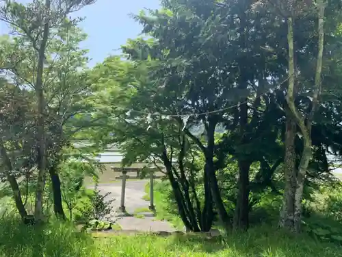 熊野神社の鳥居