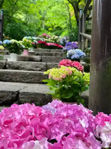 長谷寺(奈良県)