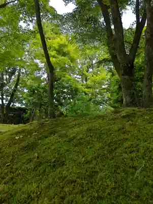 法金剛院(京都府)