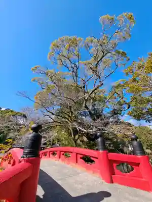 静岡浅間神社(静岡県)