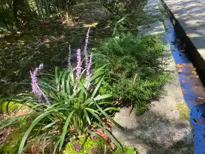 宝厳寺(滋賀県)