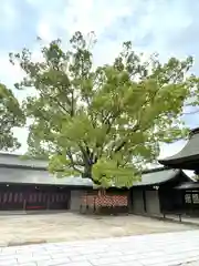 多賀神社(福岡県)