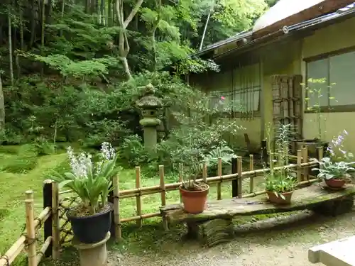 祇王寺の庭園