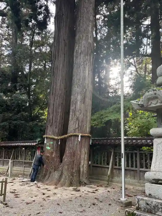 伊和神社(兵庫県)