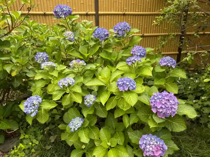 行願寺(革堂)(京都府)