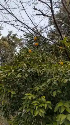 平野神社(京都府)