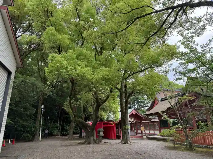 津島神社(愛知県)