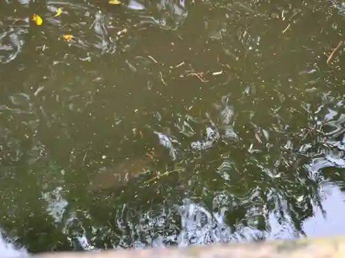 勝姫稲荷神社の周辺