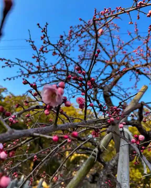 伊勢の国 四天王寺(三重県)