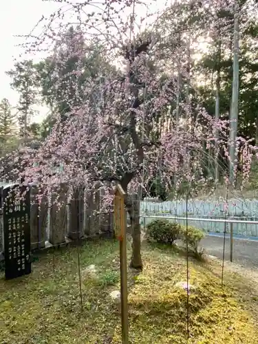 若狭野天満神社の庭園