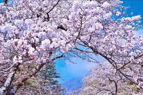 彌彦神社(新潟県)