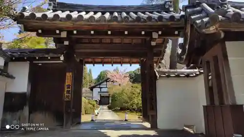 雲龍院の山門