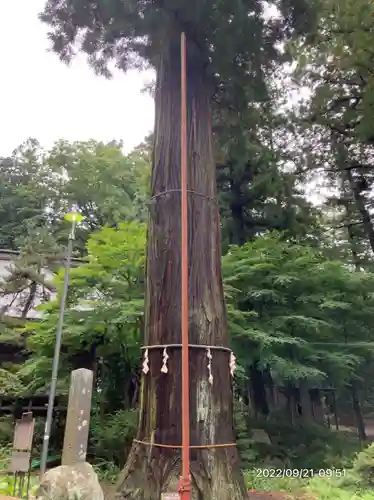 河口浅間神社(山梨県)