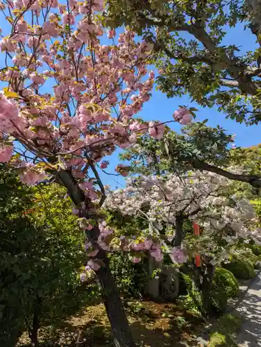西院春日神社(京都府)