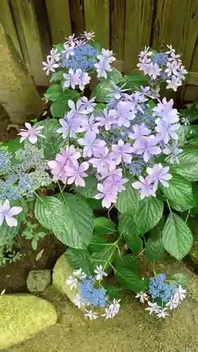 長谷寺(神奈川県)