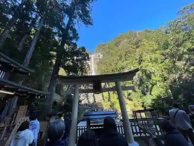 飛瀧神社(熊野那智大社別宮)の鳥居