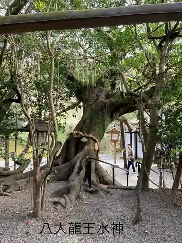 八大龍王水神(宮崎県)