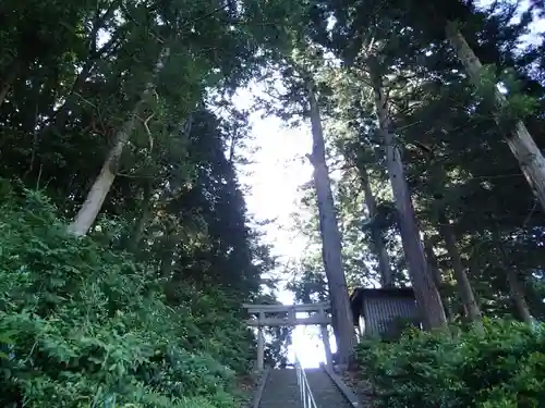 大己貴神社の鳥居