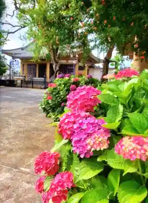 福王山  慈眼寺の自然