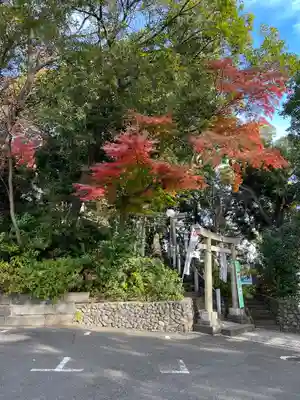 多摩川浅間神社の鳥居