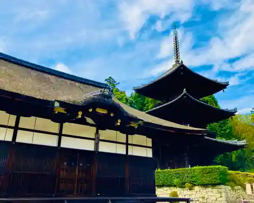 園城寺（三井寺）の建物その他