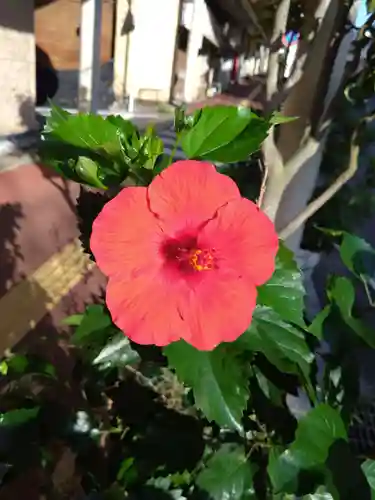 城山神社(長崎県)