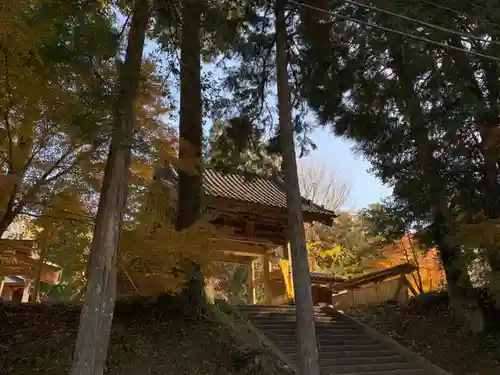 妙厳寺の山門