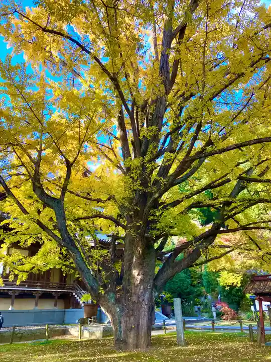 西念寺(茨城県)