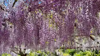 和氣神社（和気神社）(岡山県)