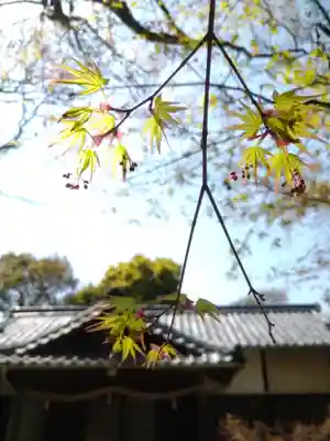 牛窓神社(岡山県)