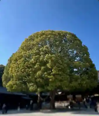 明治神宮(東京都)