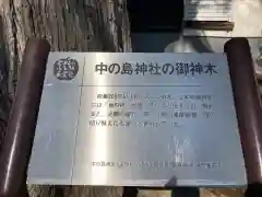 中の島神社の建物その他