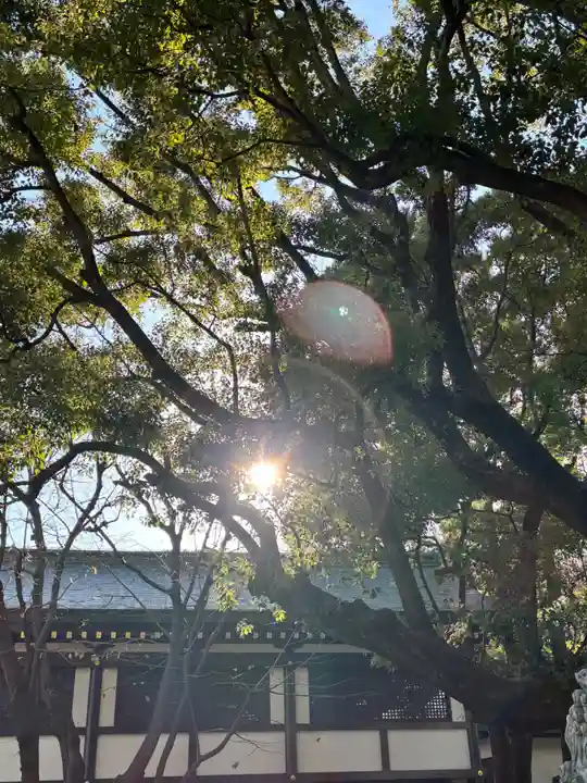 穴八幡宮(東京都)