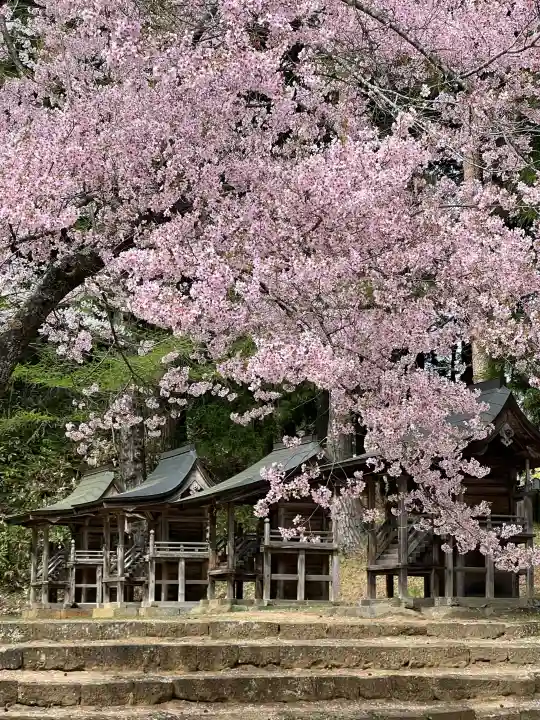 土津神社|こどもと出世の神さまの{uncategorized: "未分類", other: "その他", undefined: "問題あり", building: "その他建物", grave: "お墓", sacred_gate: "鳥居", guardian: "狛犬", statue: "像", buddha: "仏像", history: "歴史", nature: "自然", garden: "庭園", animal: "動物", pagoda: "塔", temizu: "手水舎", mountain_gate: "山門・神門", sanctuary: "本殿・本堂", subordinate: "末社・摂社", art: "芸術", scenery: "景色", jizo: "地蔵", ema: "絵馬", goshuin: "御朱印", omikuji: "おみくじ", items: "授与品その他", amulet: "お守り", goshuincho: "御朱印帳", eats: "食事", festival: "お祭り", votive_dance: "神楽", shichigosan: "七五三参", wedding: "結婚式", experience: "体験その他", initially: "初詣", around: "周辺", anti_infection: "感染症対策"}