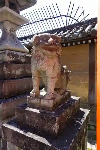 下御霊神社の狛犬