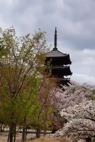 仁和寺(京都府)