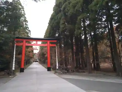 霧島神宮の鳥居