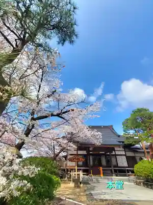 妙林寺(福島県)