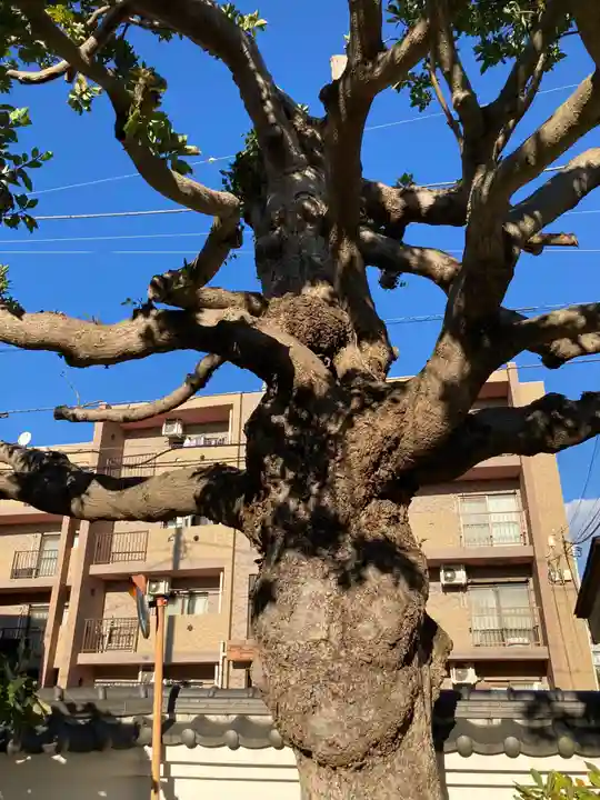 廣徳寺(神奈川県)