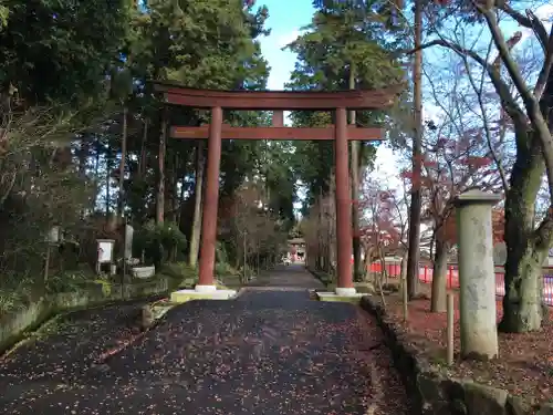 大前神社の鳥居